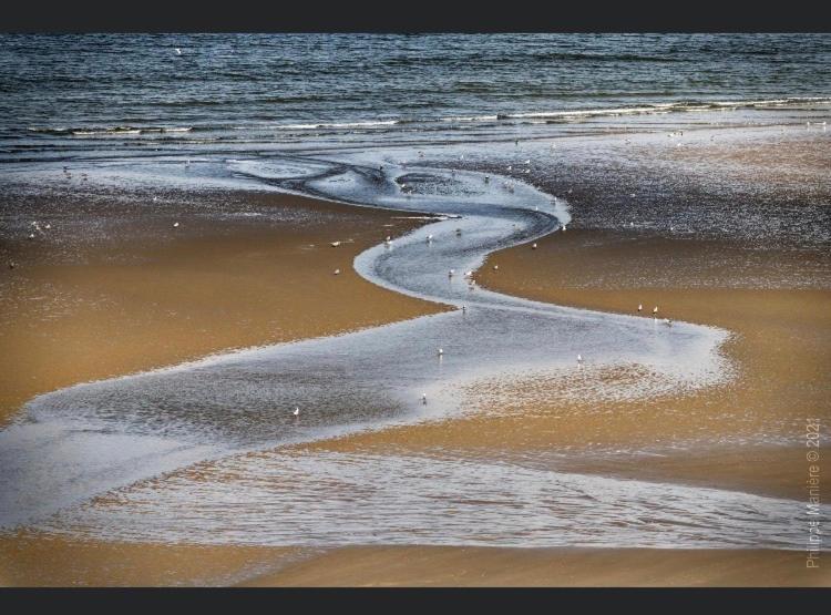 La Margaret Face Mer Équihen-Plage Zewnętrze zdjęcie